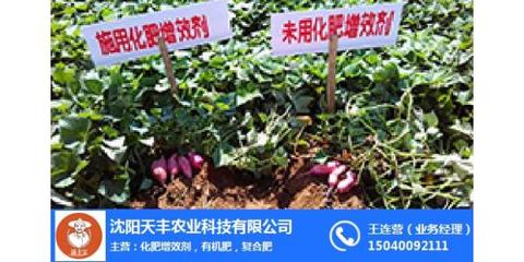 植物营养增产肥市场新机遇 天丰农业引领高效种植新浪潮